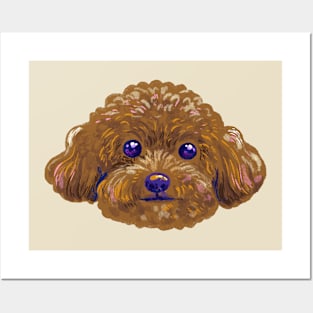 Cute poodle Posters and Art